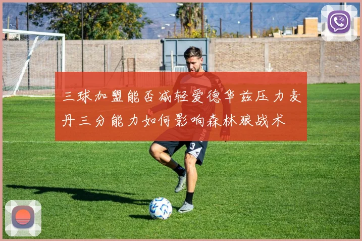 三球加盟能否减轻爱德华兹压力麦丹三分能力如何影响森林狼战术